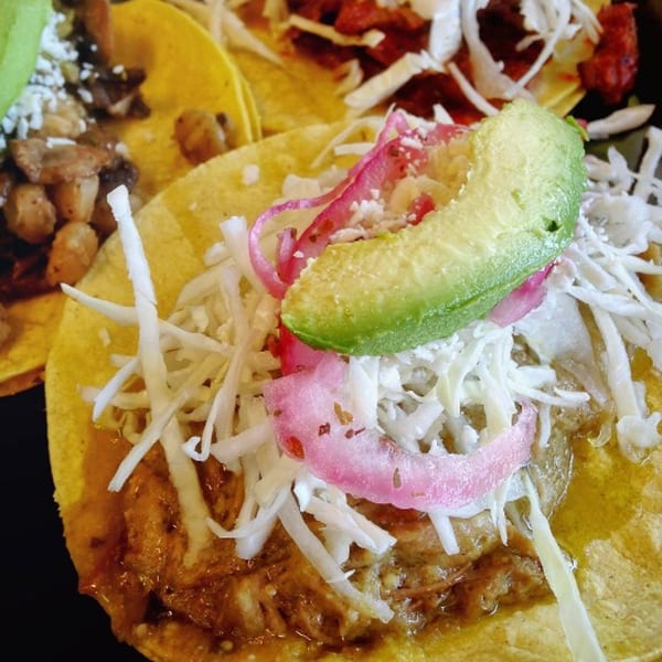 Close-up of a Papalote Taco House taco with avocado, pickled onions, and shredded cabbage.