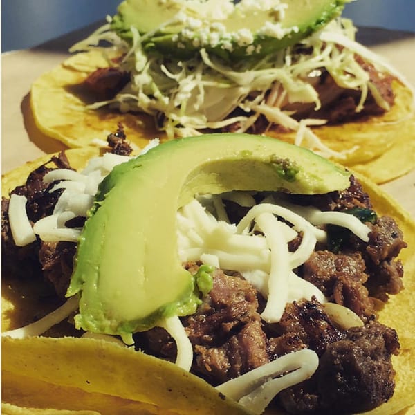 Two Papalote Taco House tacos with meat, shredded cheese, and avocado slices on corn tortillas.